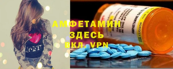 ECSTASY Алзамай