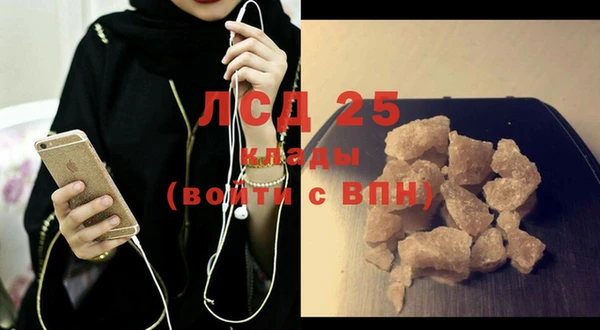ECSTASY Алзамай