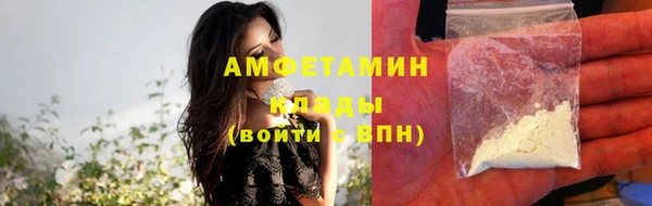 ECSTASY Алзамай