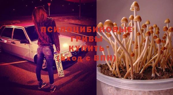 не бодяженный Алексеевка