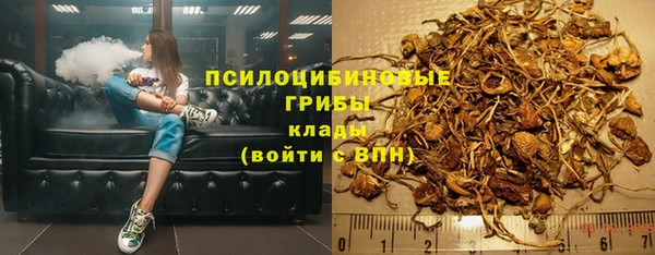 хмурый Алексин