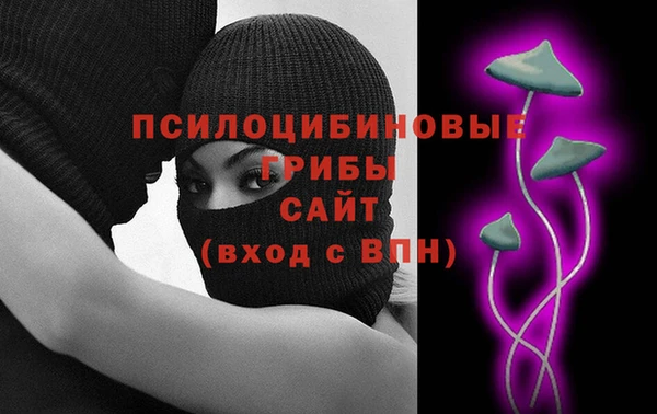 хмурый Алексин
