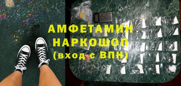 хмурый Алексин